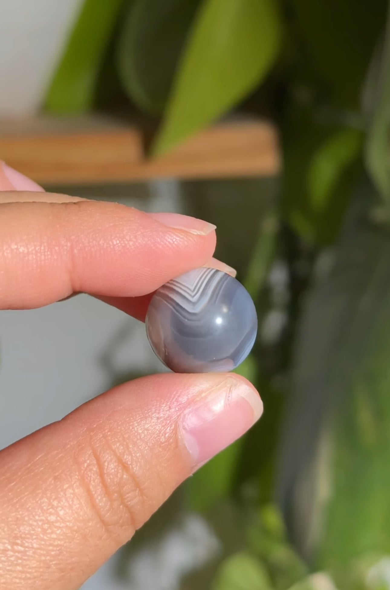 
                  
                    RESERVED LISTING - fireflyinthefields
                  
                