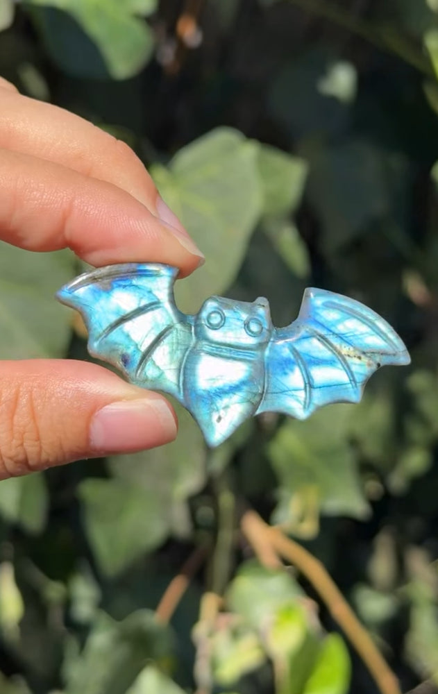 
                  
                    RESERVED LISTING - erinfetz
                  
                