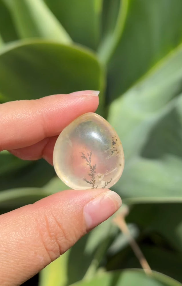 
                  
                    RESERVED LISTING - im_just_walkin_here
                  
                