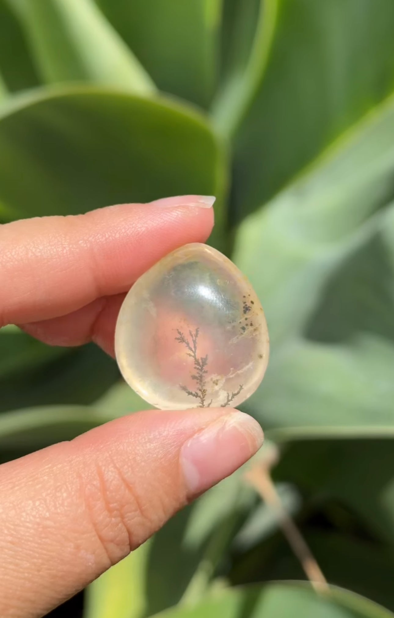 
                  
                    RESERVED LISTING - im_just_walkin_here
                  
                