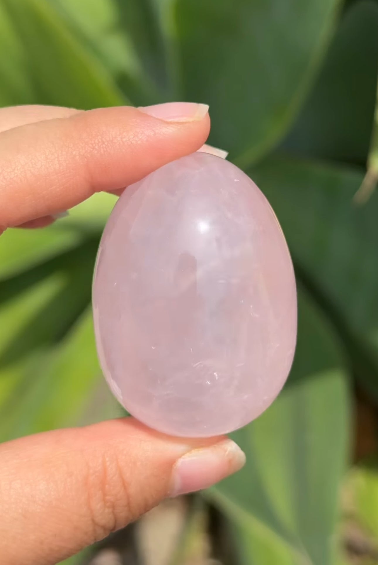 
                  
                    RESERVED LISTING - im_just_walkin_here
                  
                