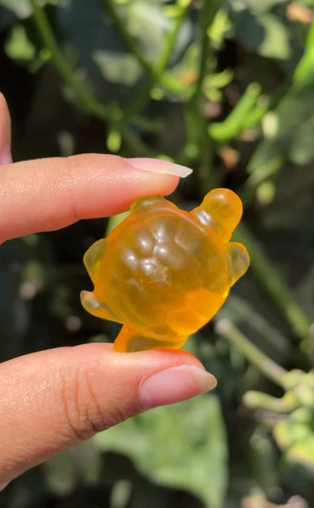 
                  
                    RESERVED LISTING - erinfetz
                  
                