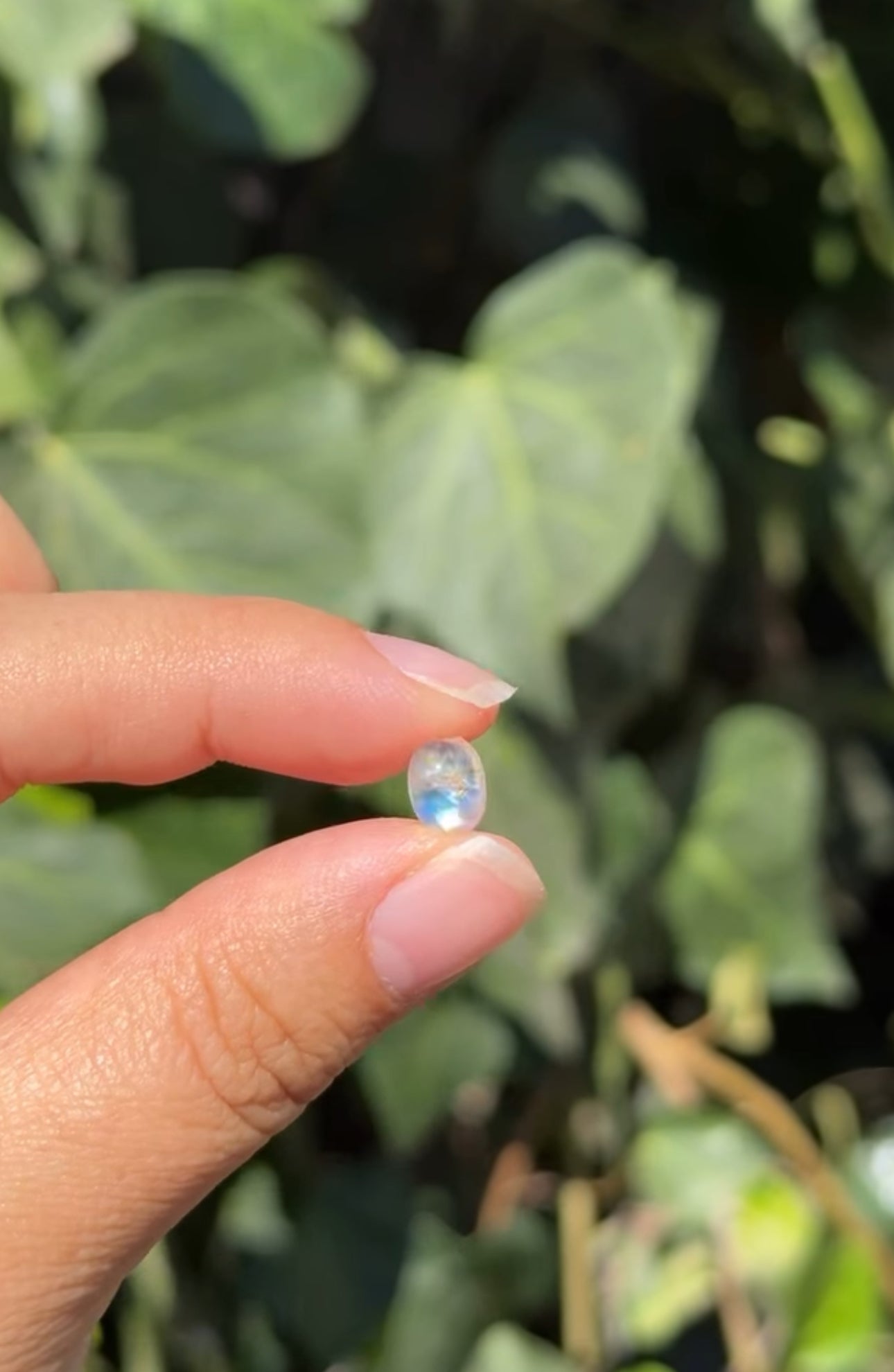 
                  
                    RESERVED LISTING - romae.aquino
                  
                