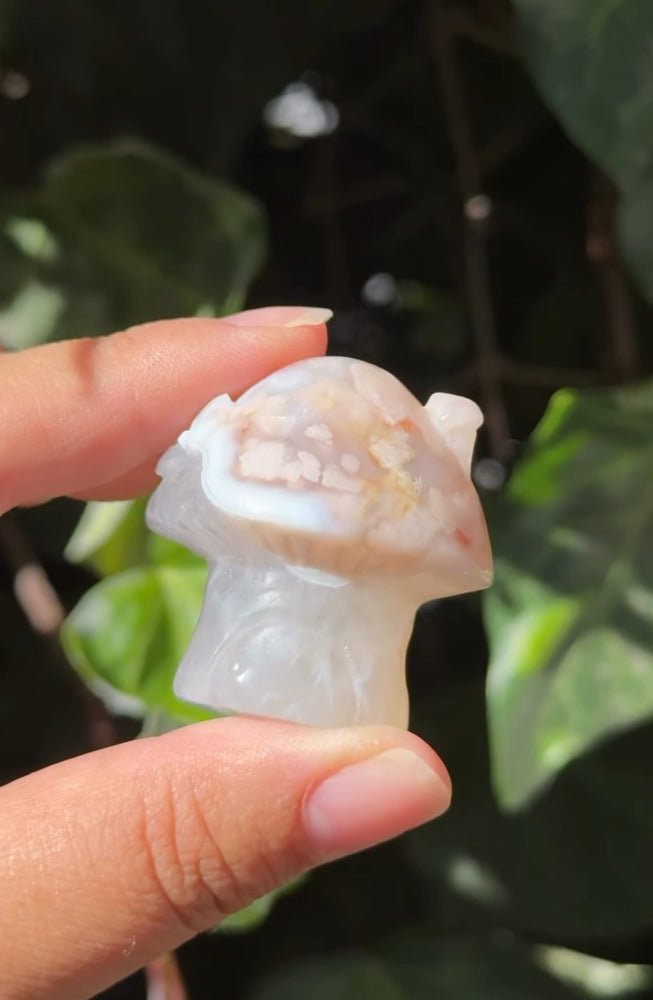 
                  
                    RESERVED LISTING - c_genesisallison87
                  
                