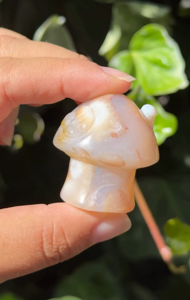 
                  
                    RESERVED LISTING - c_genesisallison87
                  
                