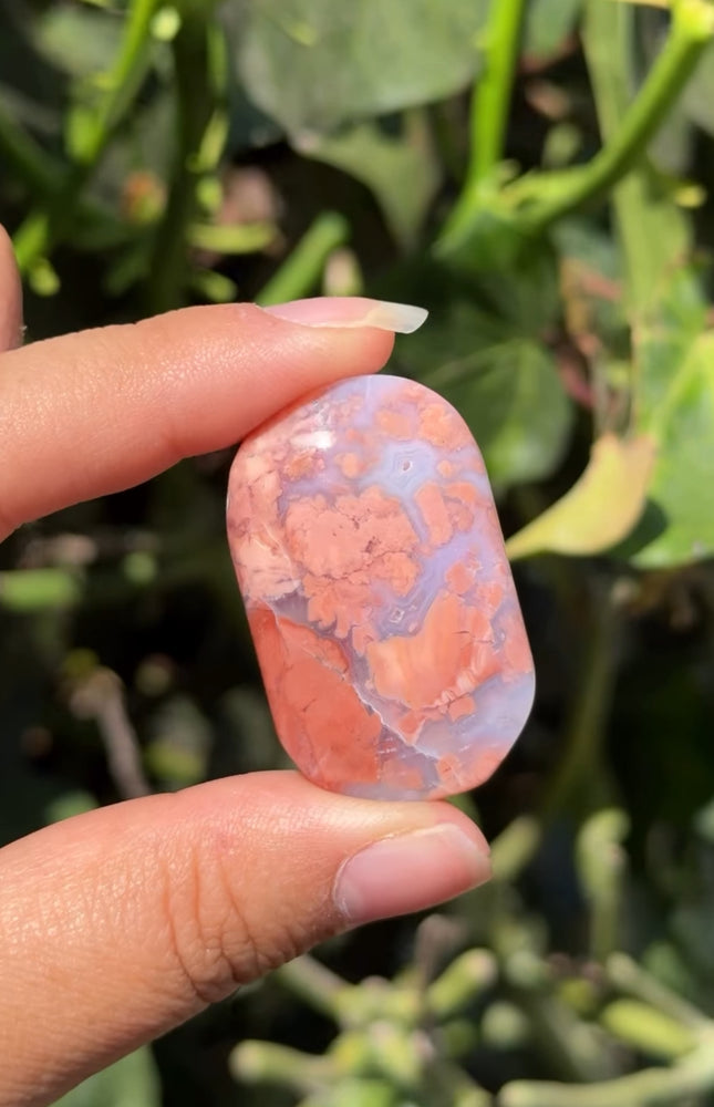 
                  
                    RESERVED LISTING - wildfire.witch
                  
                