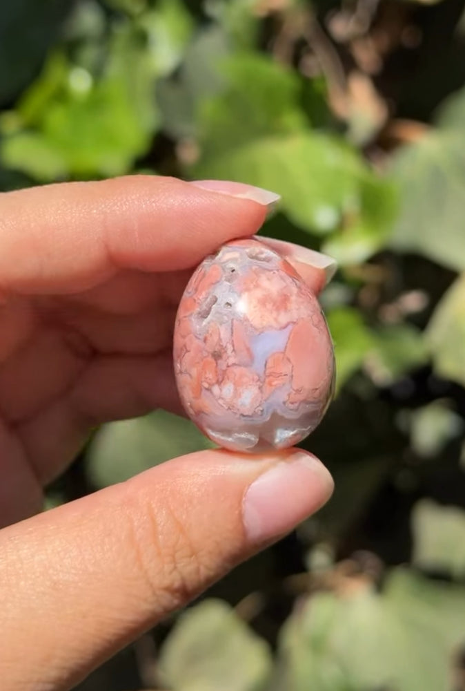 
                  
                    RESERVED LISTING - erinfetz
                  
                