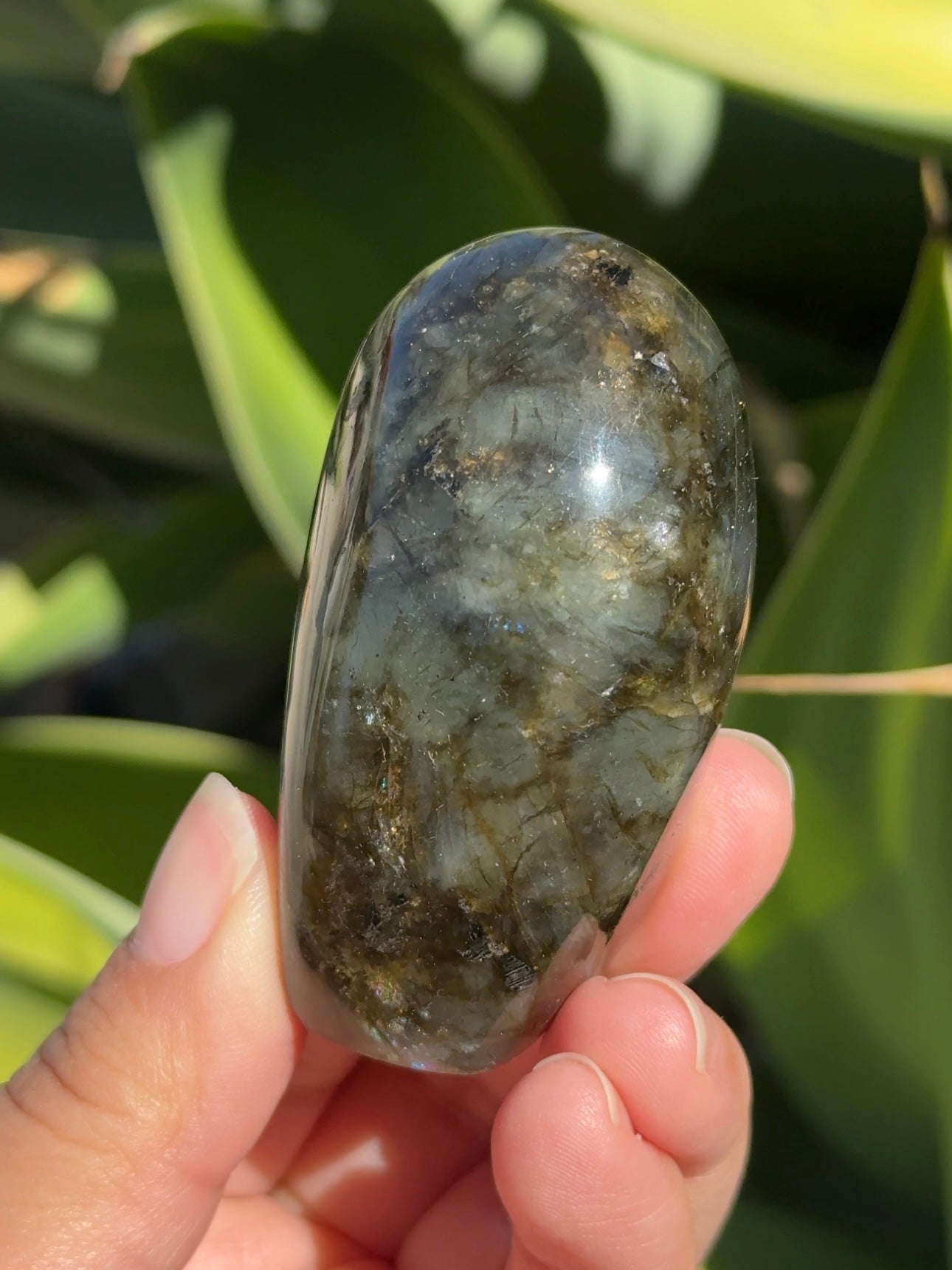 
                  
                    Labradorite Freeform
                  
                