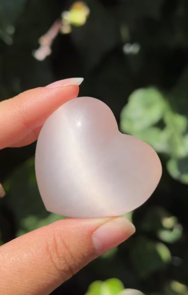 
                  
                    RESERVED LISTING - cindyr1776
                  
                