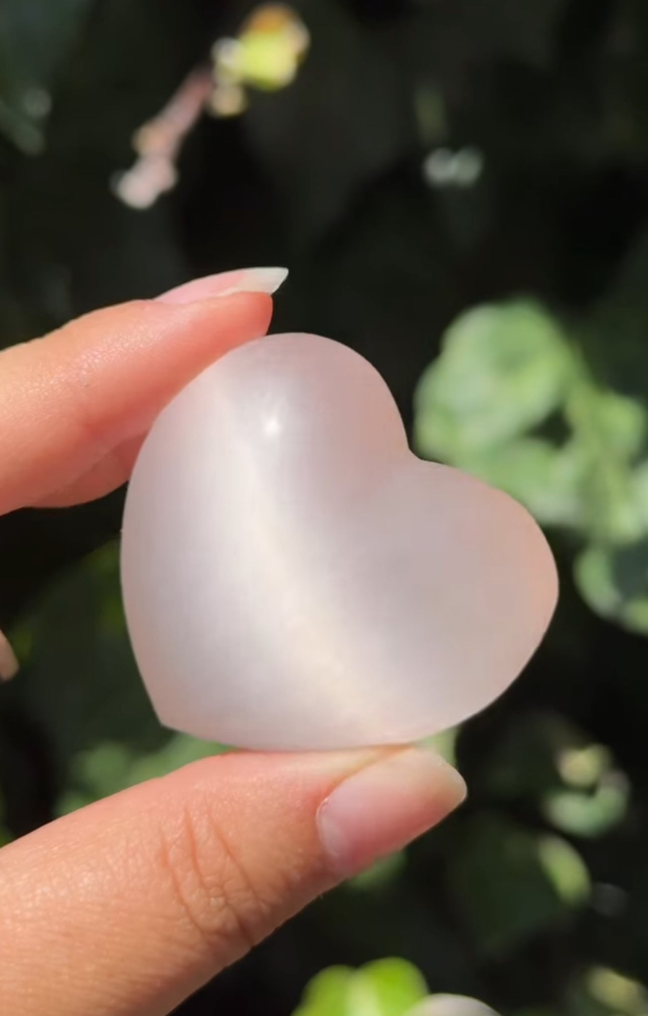 
                  
                    RESERVED LISTING - cindyr1776
                  
                