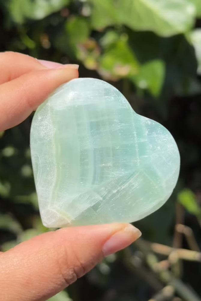 
                  
                    RESERVED LISTING - kiwi.elbow
                  
                