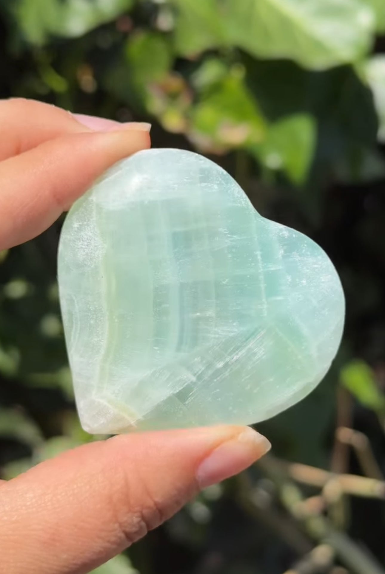 
                  
                    RESERVED LISTING - kiwi.elbow
                  
                