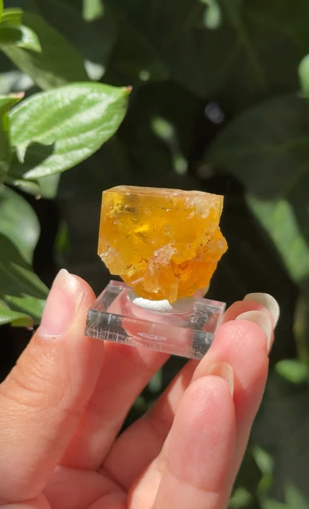 
                  
                    RESERVED LISTING - leftoverlexapro 3/4
                  
                