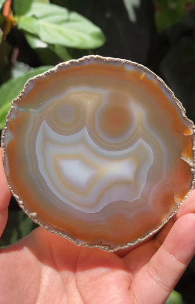 
                  
                    RESERVED LISTING - solarly_challenged
                  
                