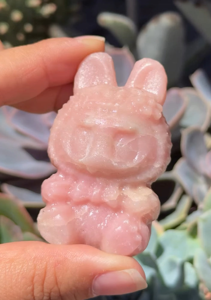 
                  
                    RESERVED LISTING - catniss_evergreen
                  
                