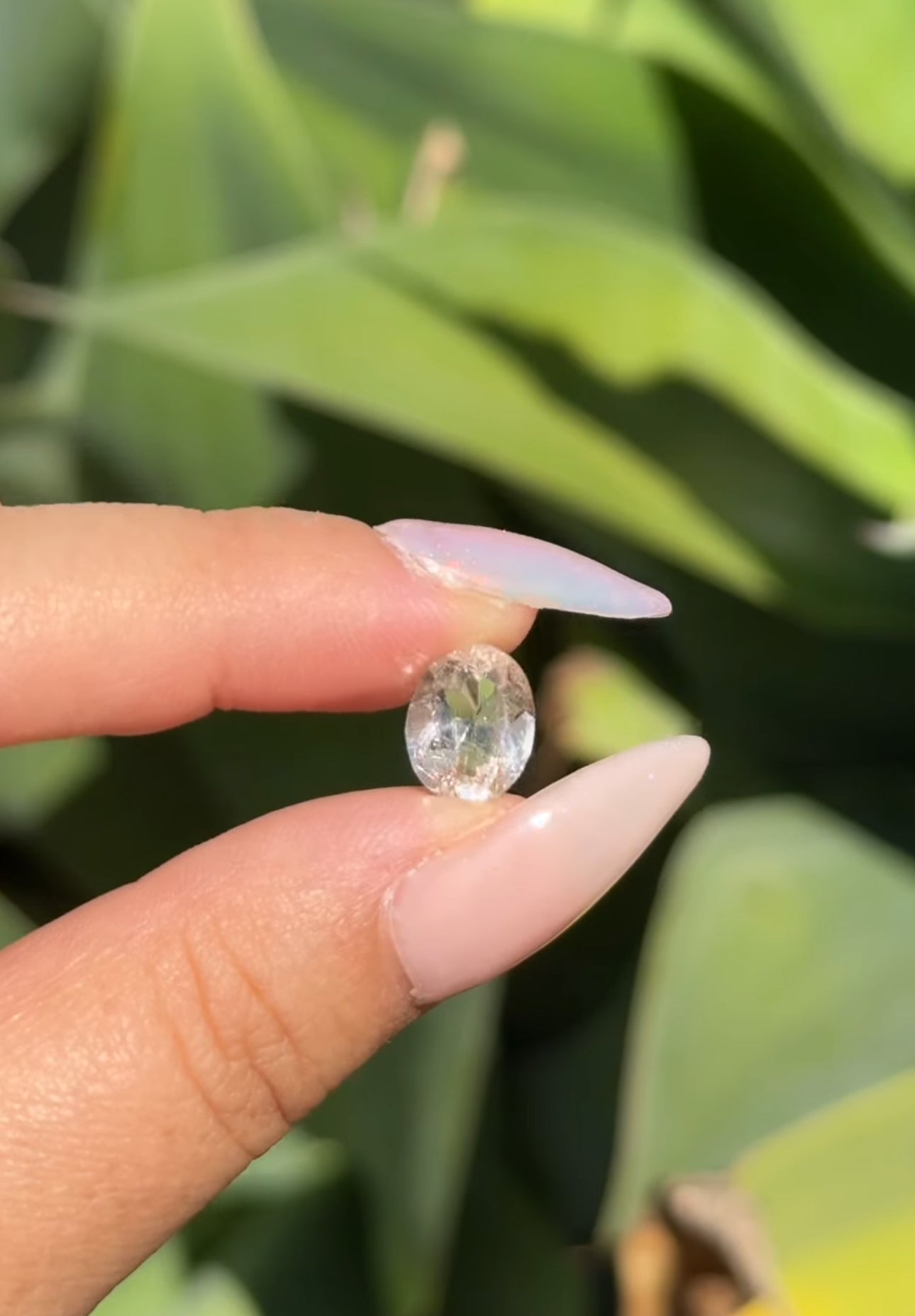 
                  
                    RESERVED LISTING - jval
                  
                