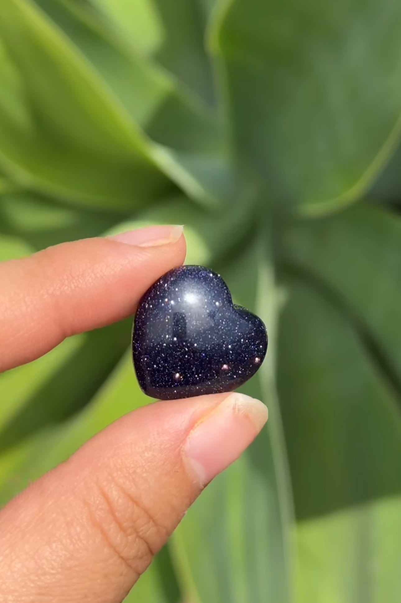 
                  
                    RESERVED LISTING - kelseyplanslife
                  
                