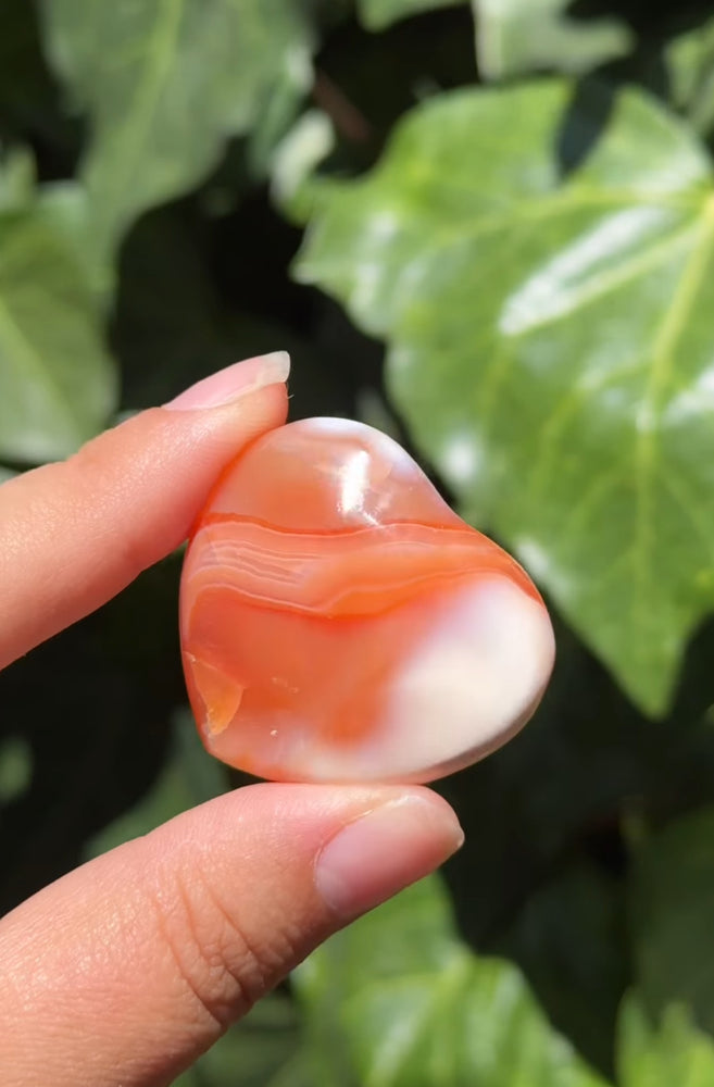 
                  
                    RESERVED LISTING - ak_miller226
                  
                