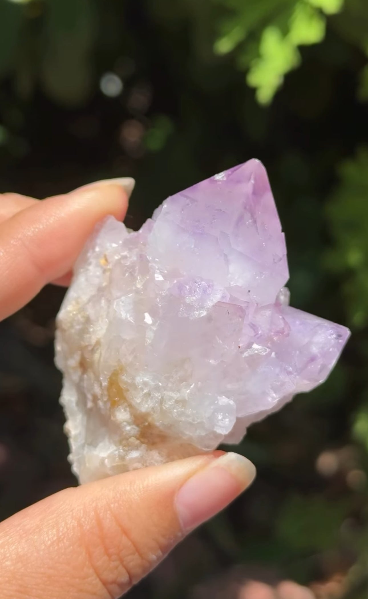 
                  
                    RESERVED LISTING - ghostofgabby
                  
                