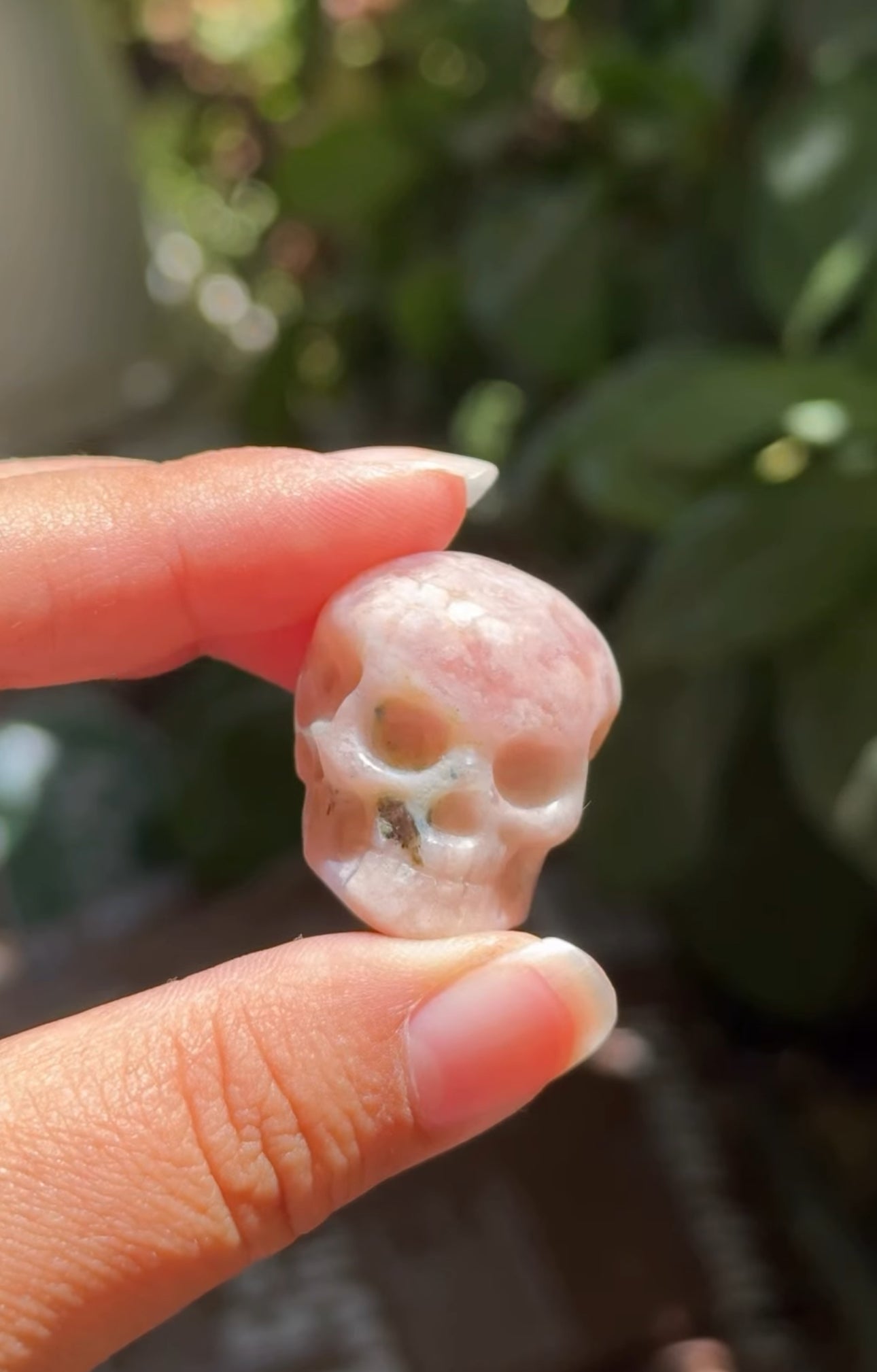 
                  
                    RESERVED LISTING - ghostofgabby
                  
                