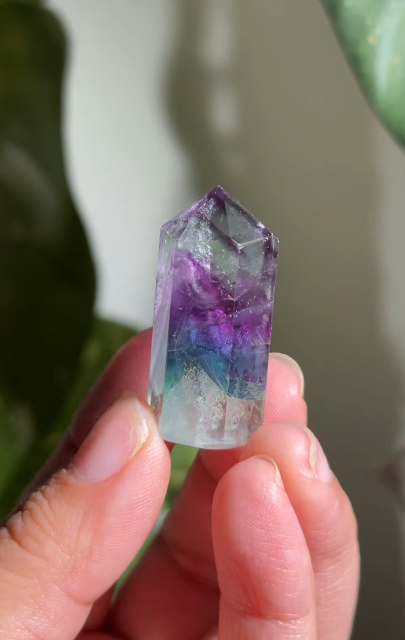 
                  
                    RESERVED LISTING - nadia_roman07
                  
                