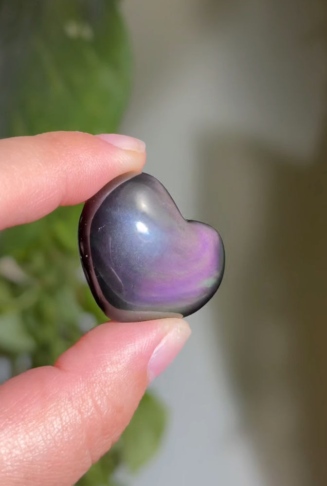 
                  
                    RESERVED LISTING - fireflyinthefields
                  
                