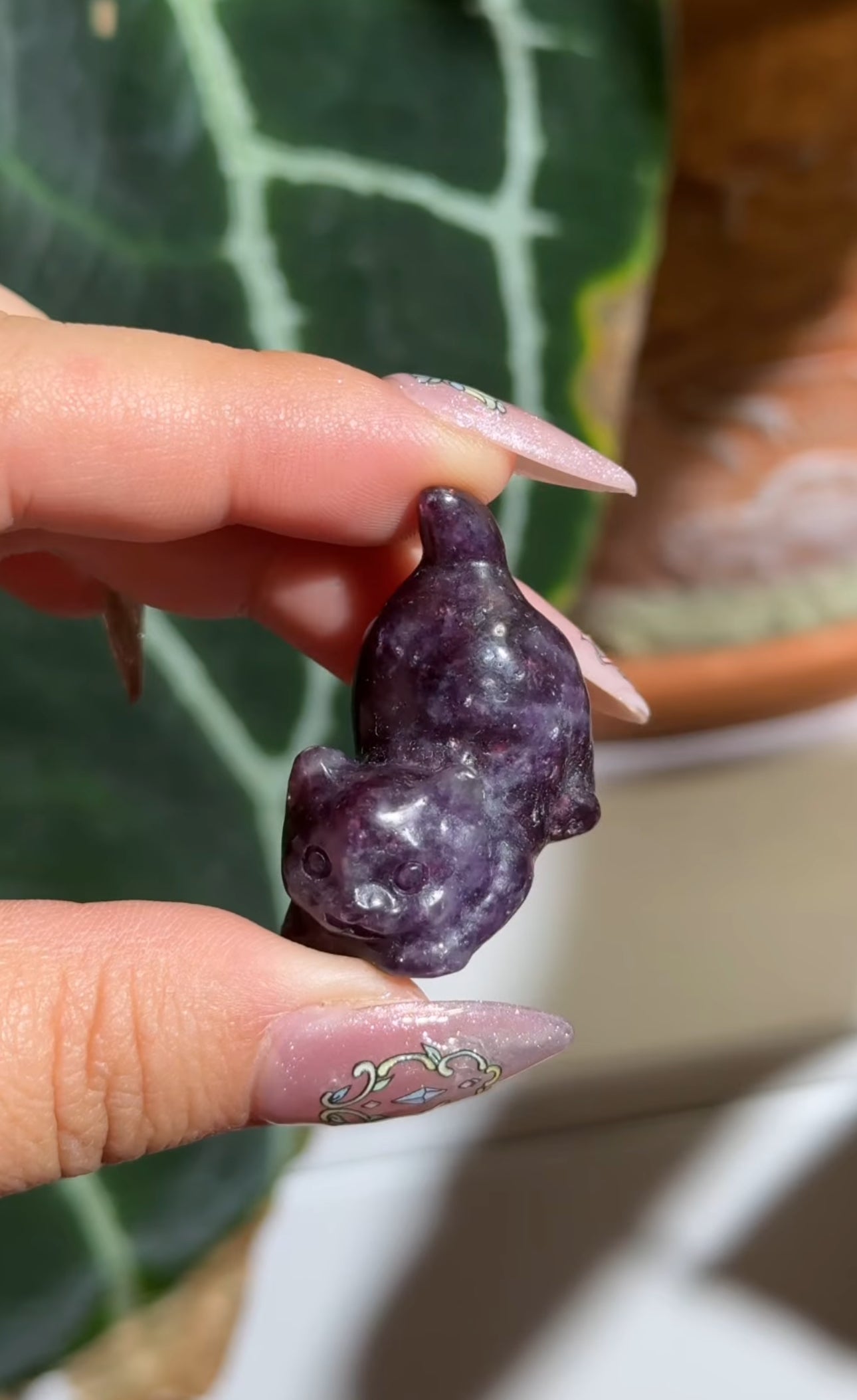 
                  
                    RESERVED LISTING - kelseyplanslife
                  
                