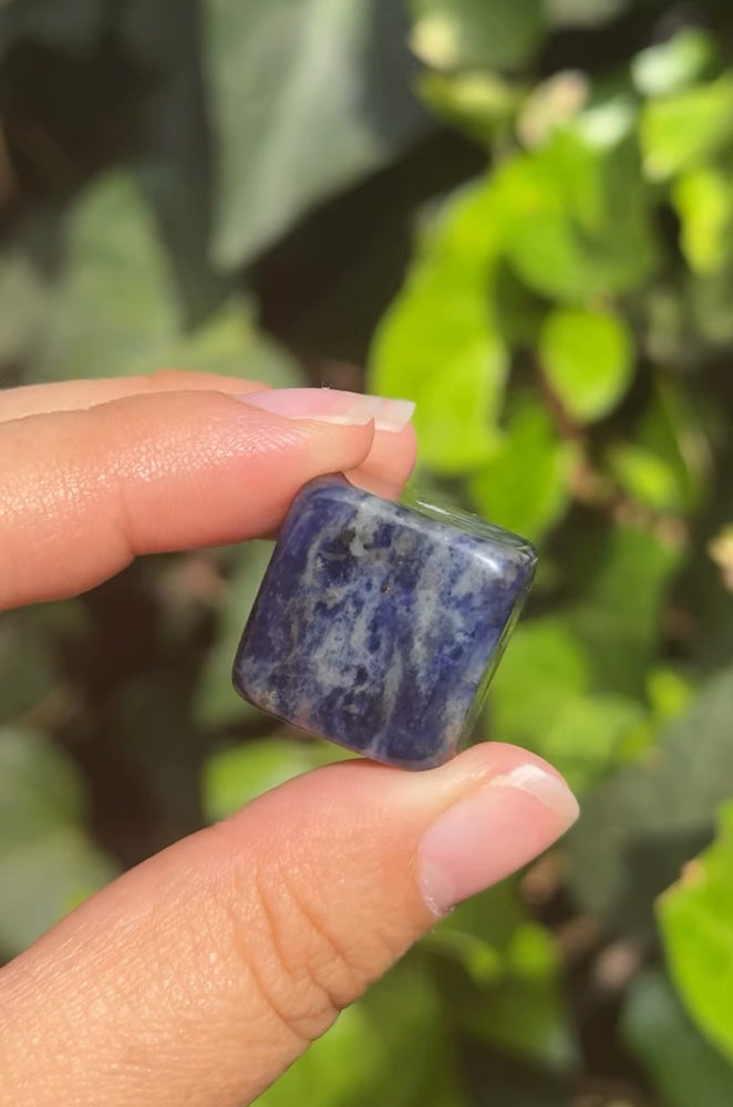 
                  
                    RESERVED LISTING - krystal.creature
                  
                