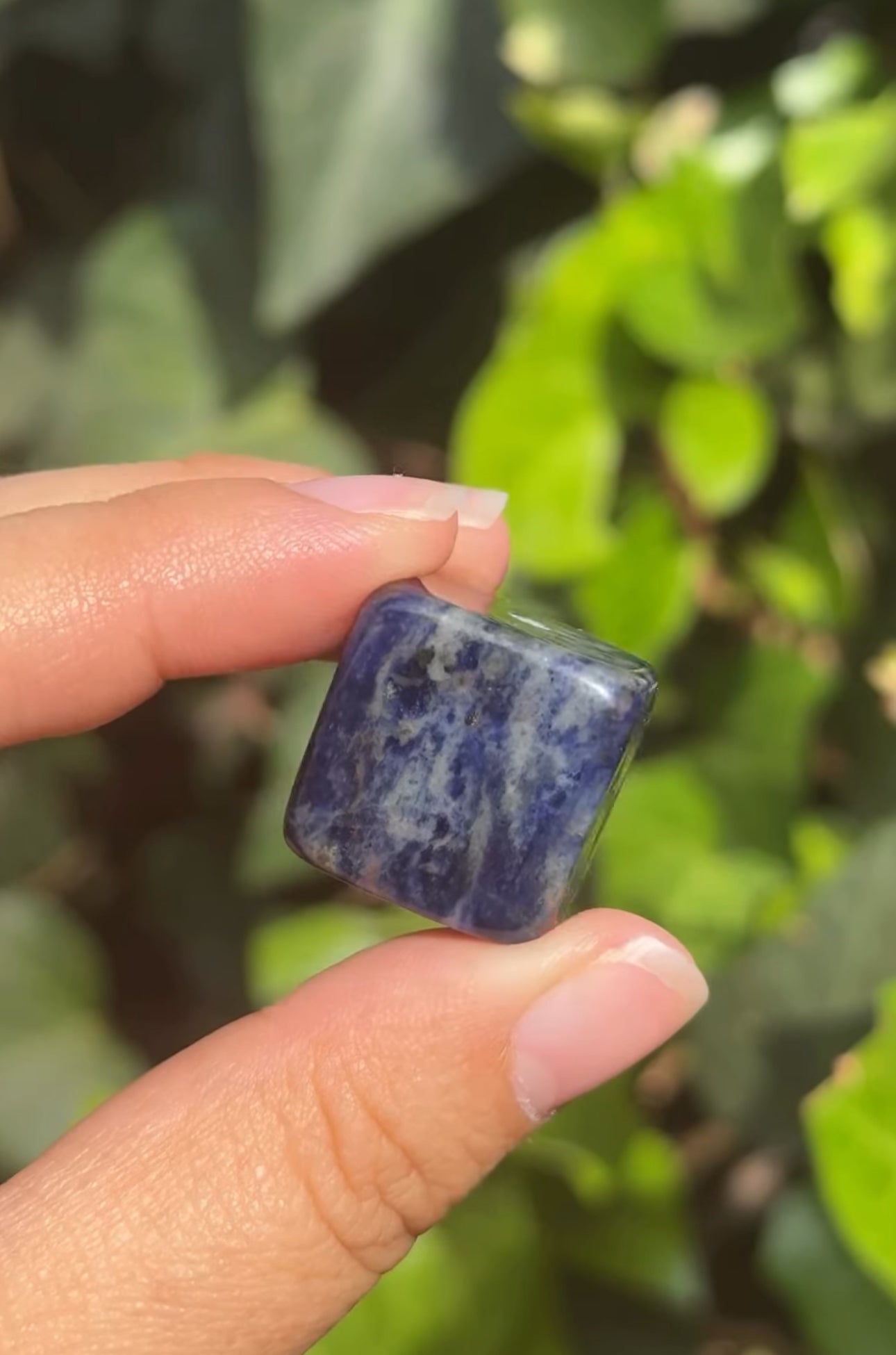 
                  
                    RESERVED LISTING - krystal.creature
                  
                