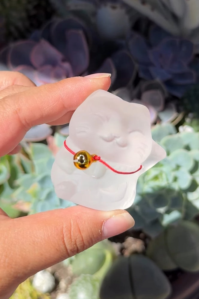 
                  
                    RESERVED LISTING - le_daedricprince
                  
                