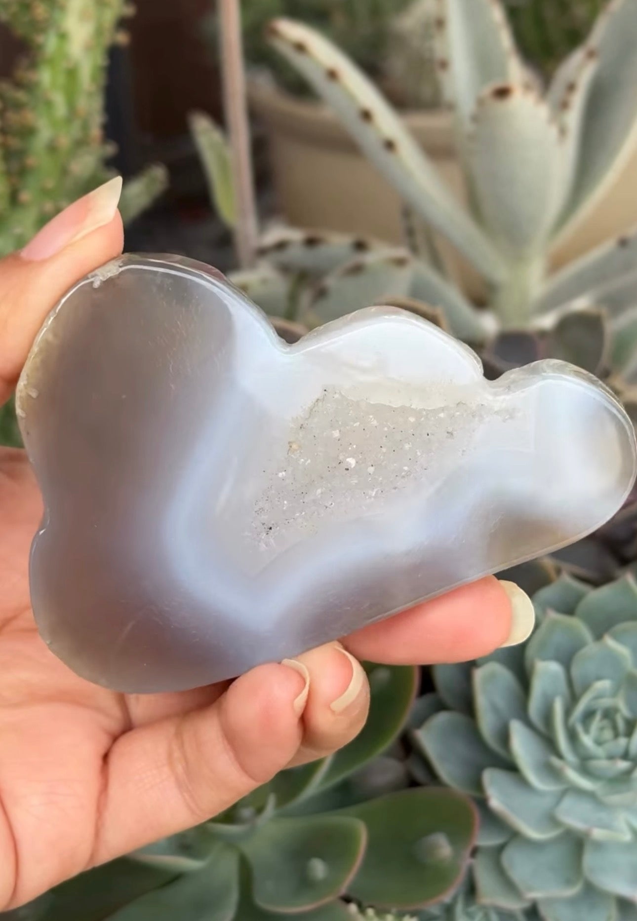 
                  
                    RESERVED LISTING - c_genesisallison87
                  
                