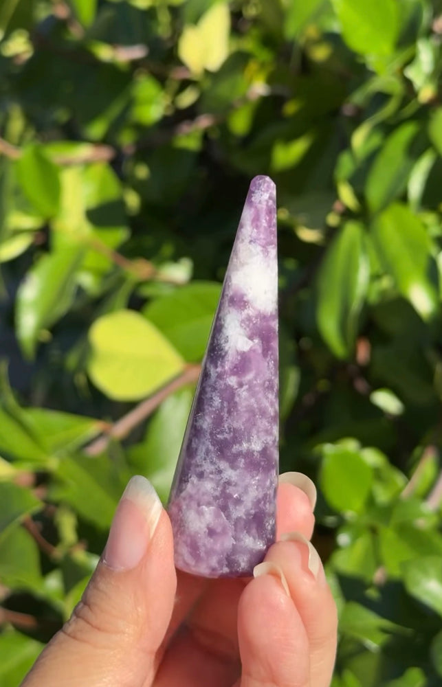 
                  
                    RESERVED LISTING - _crownut_
                  
                