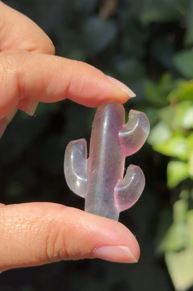 
                  
                    RESERVED LISTING - erinfetz
                  
                