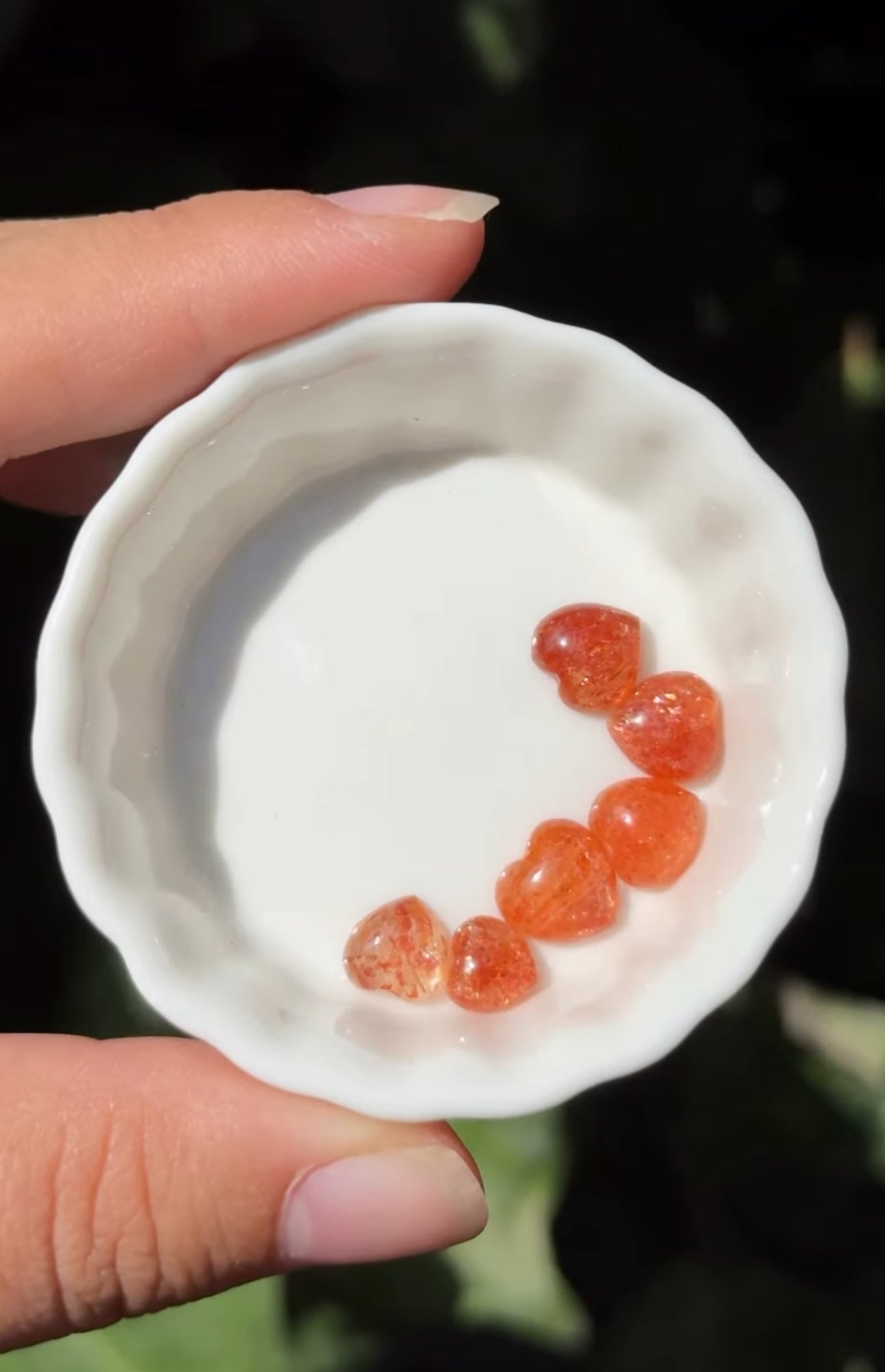 
                  
                    RESERVED LISTING - jval
                  
                