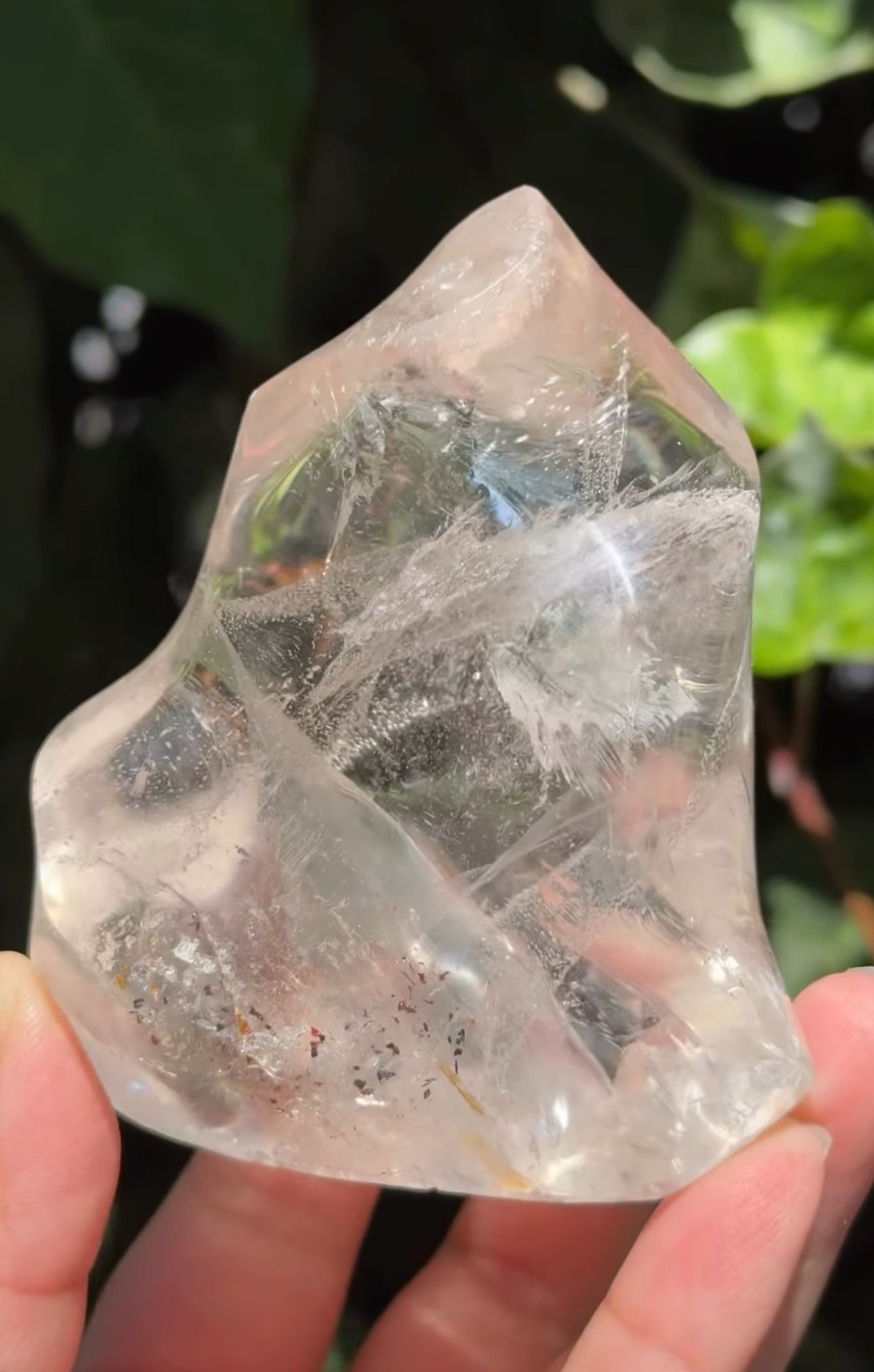 
                  
                    RESERVED LISTING - jval
                  
                