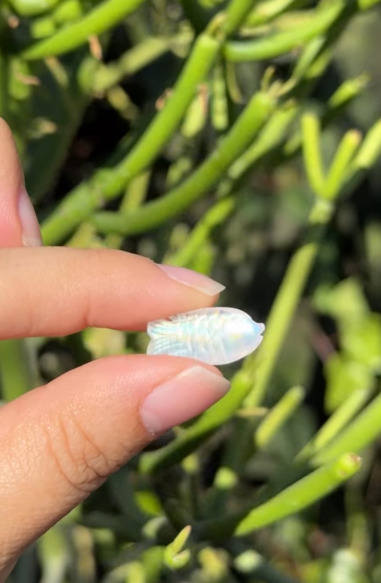 
                  
                    RESERVED LISTING - rue.lew
                  
                