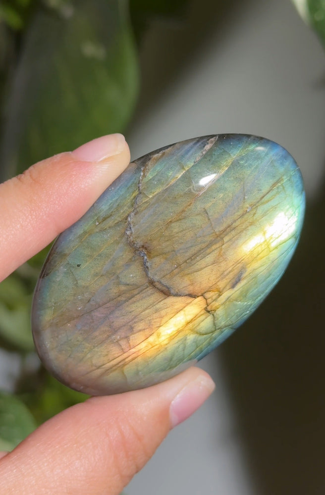 
                  
                    RESERVED LISTING - romae.aquino
                  
                