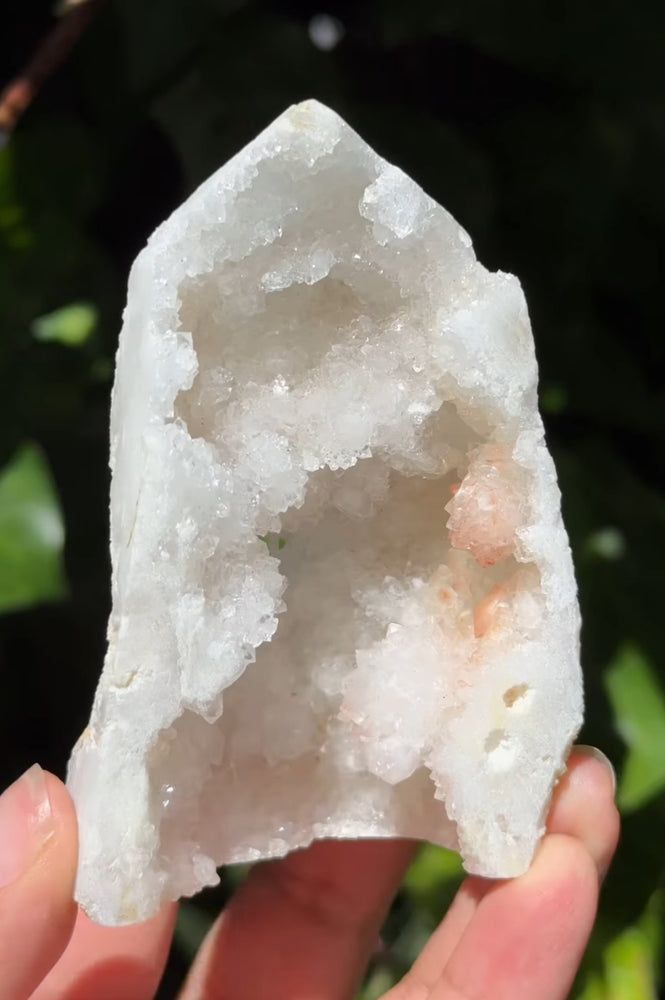 
                  
                    RESERVED LISTING - leftoverlexapro
                  
                