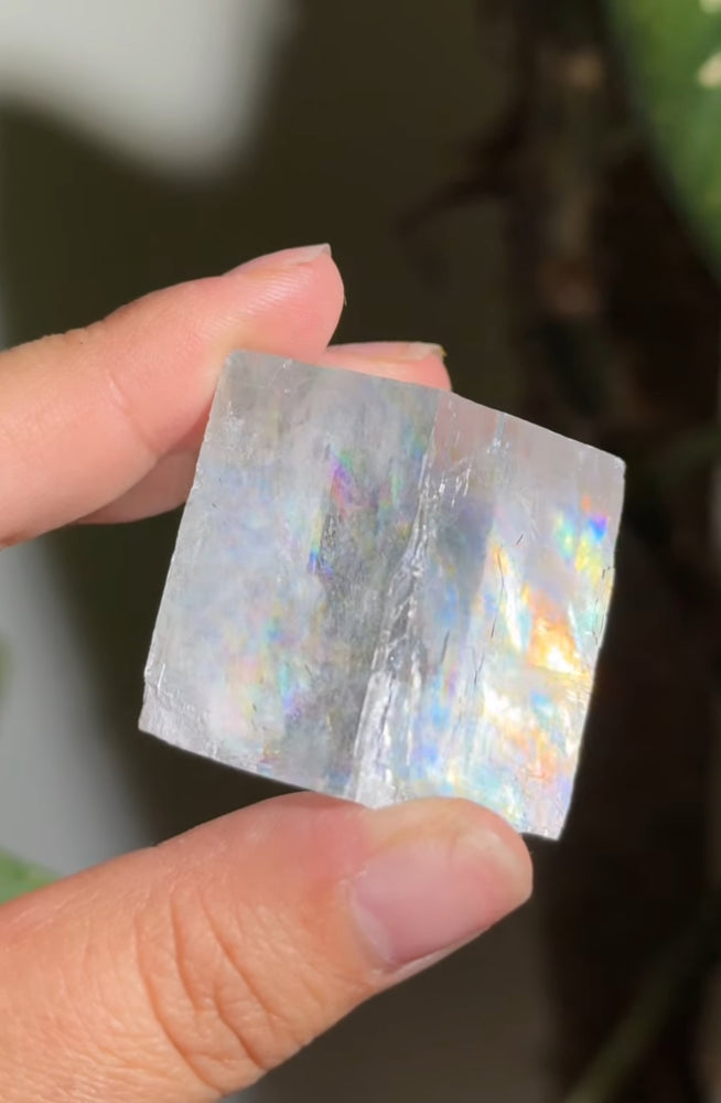 
                  
                    RESERVED LISTING - jval
                  
                