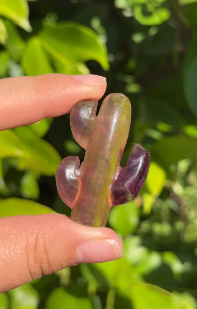 
                  
                    RESERVED LISTING - jvalentine9x
                  
                