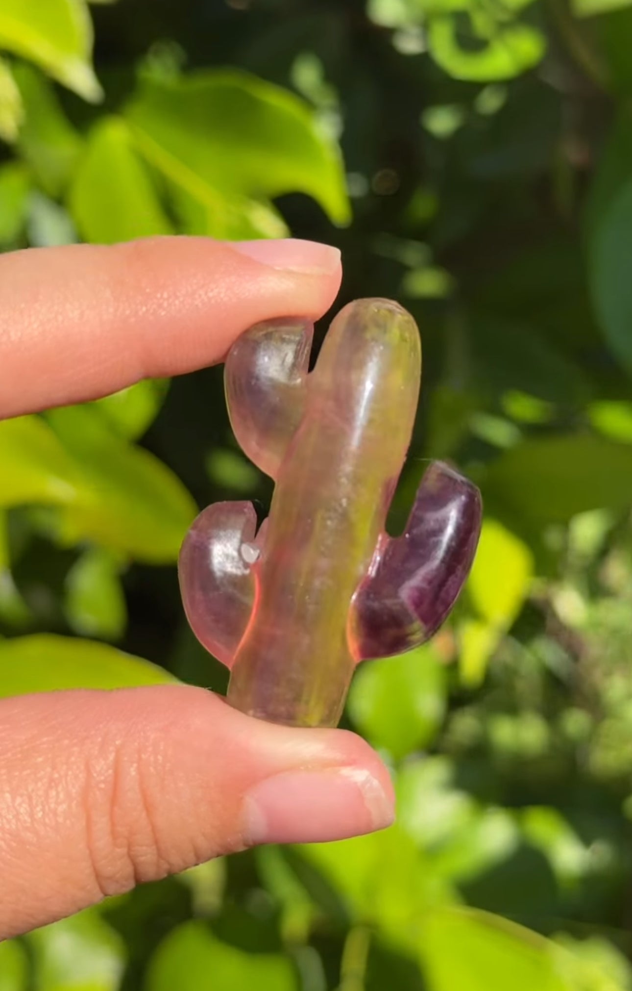 
                  
                    RESERVED LISTING - jvalentine9x
                  
                