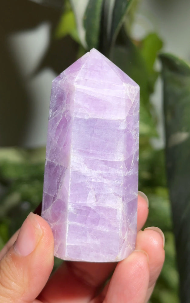
                  
                    RESERVED LISTING - ghostofgabby
                  
                