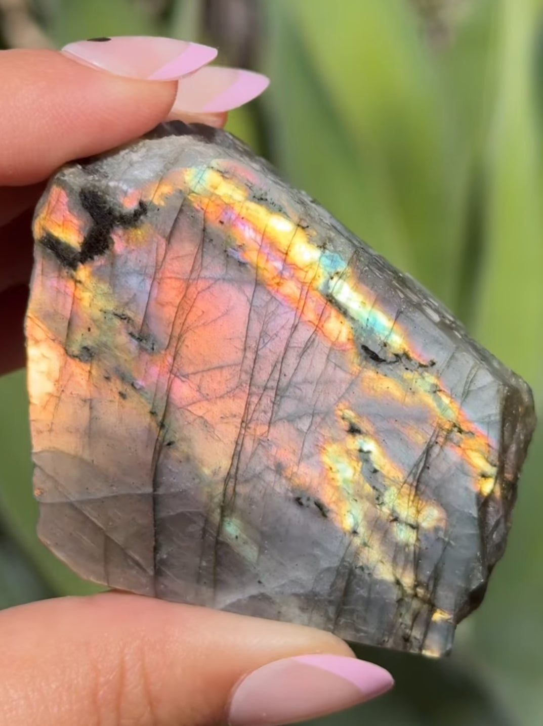 
                  
                    RESERVED LISTING - red_letter187
                  
                