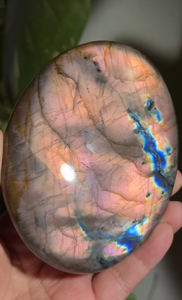 
                  
                    RESERVED LISTING - jval
                  
                