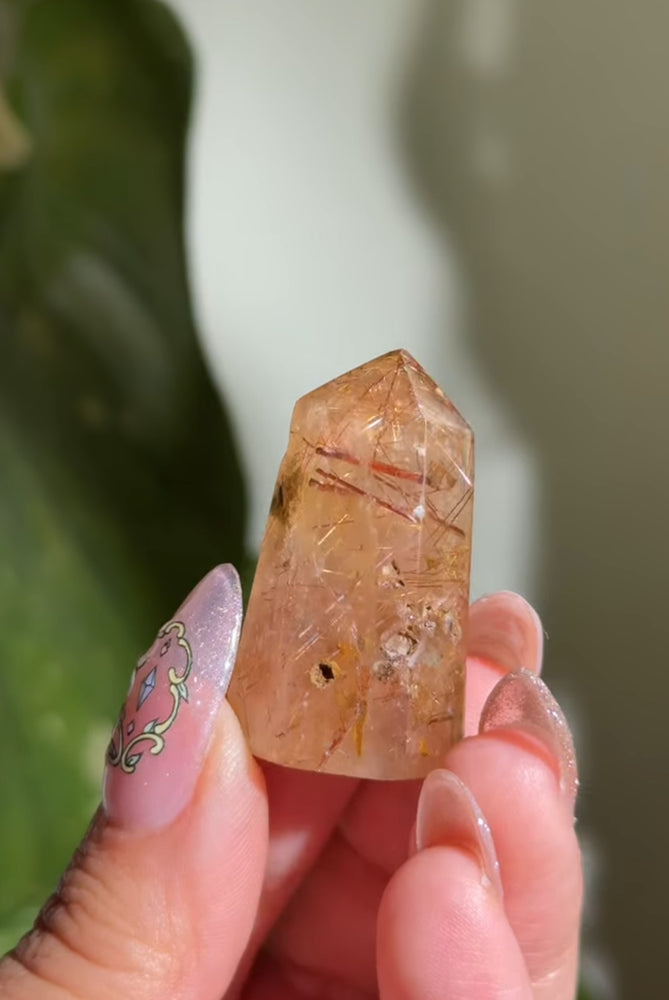 
                  
                    RESERVED LISTING - catniss_evergreen
                  
                