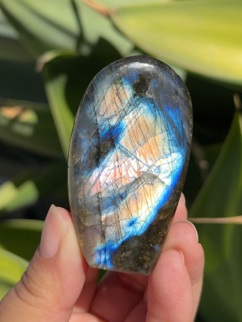 Labradorite Freeform