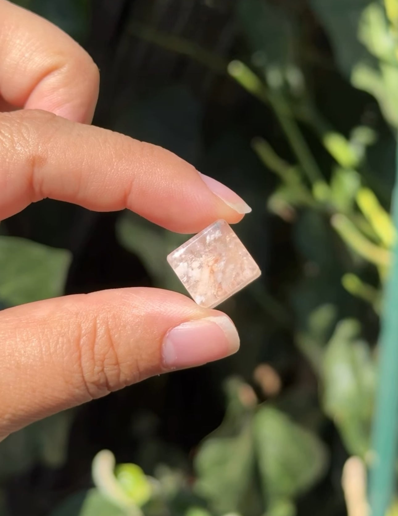 
                  
                    RESERVED LISTING - jval
                  
                