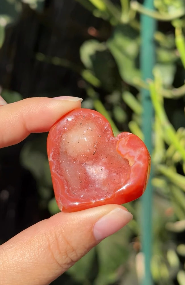 
                  
                    RESERVED LISTING - melty82
                  
                