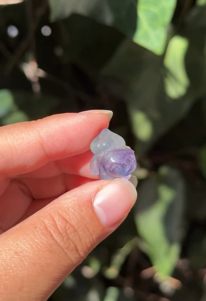 
                  
                    RESERVED LISTING - leftoverlexapro 3/4
                  
                