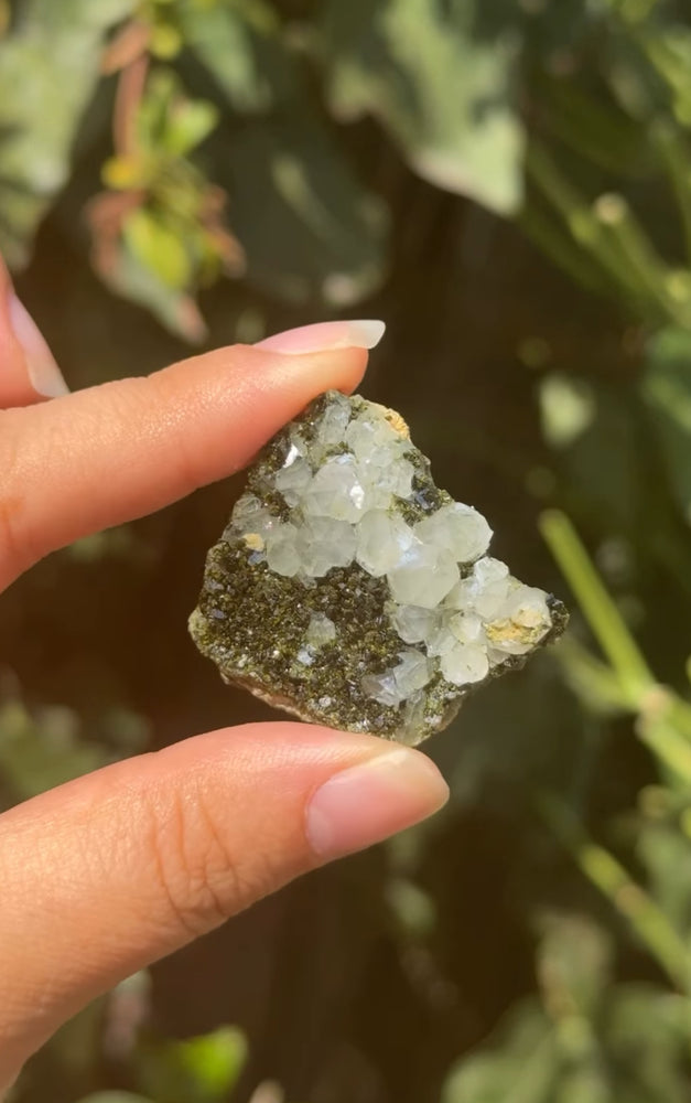 
                  
                    RESERVED LISTING - akielwas
                  
                